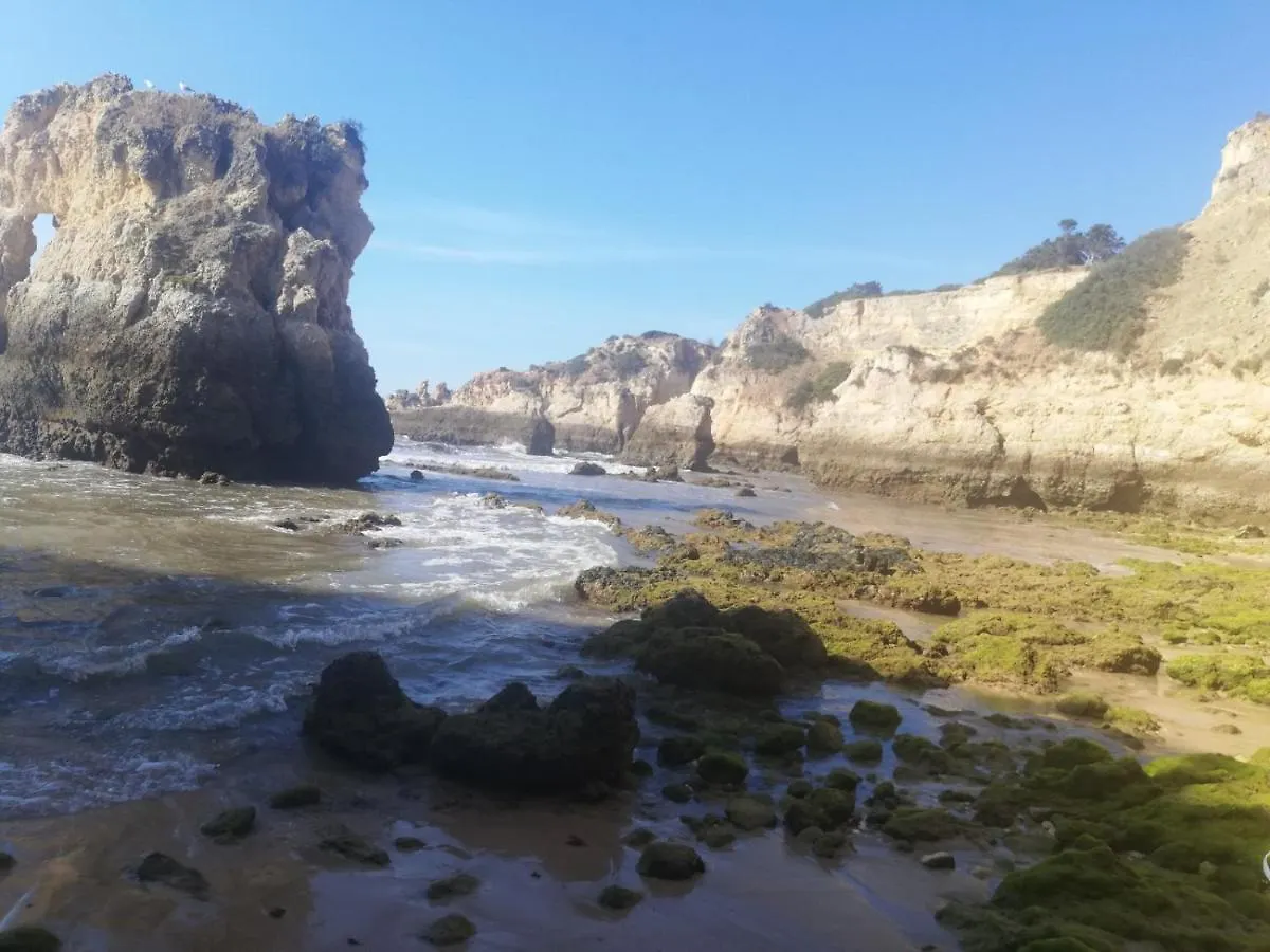 아파트 Rocha Praia Mar Beach Front Line Bay 포티마오
