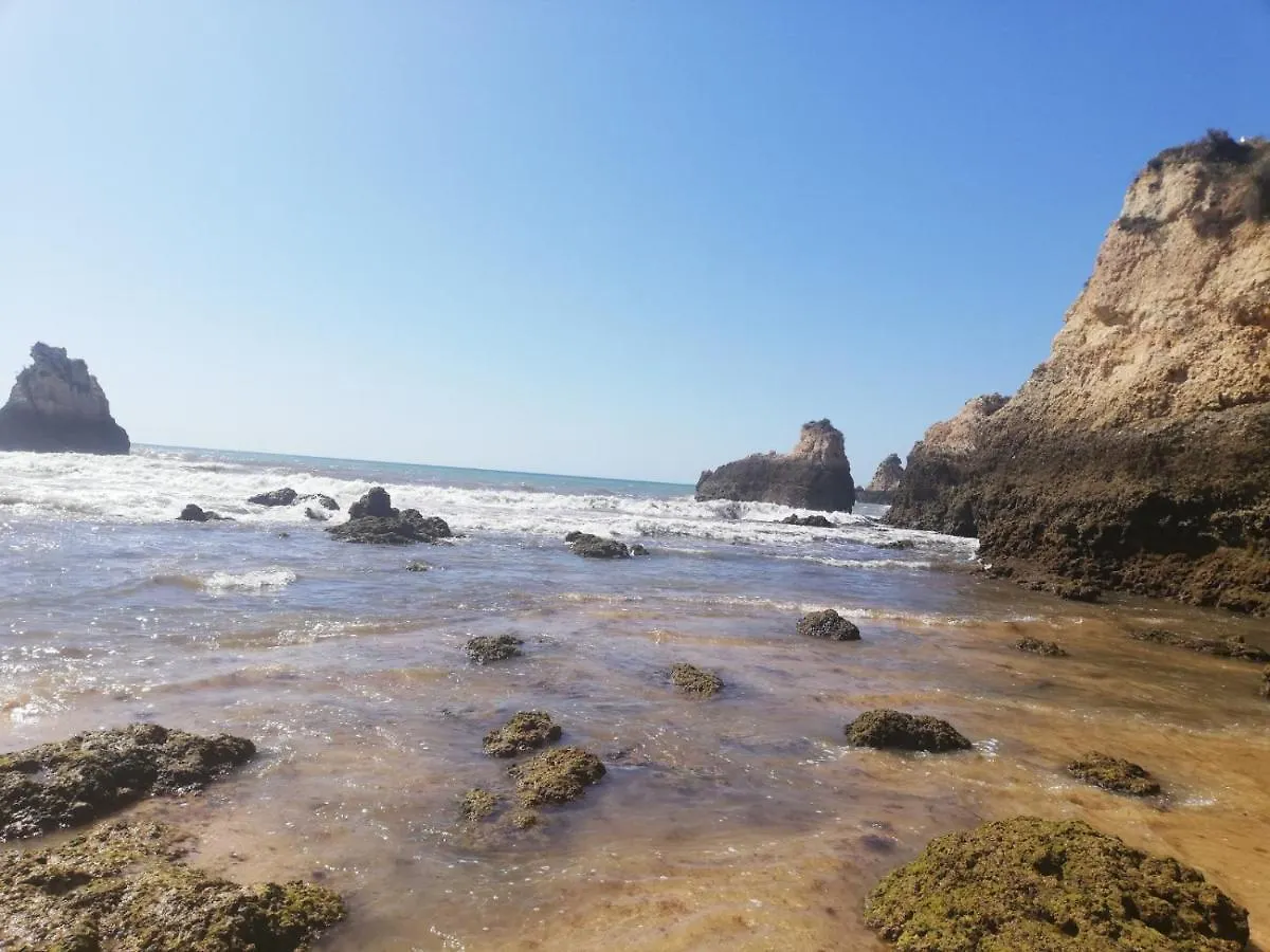 Rocha Praia Mar Beach Front Line Bay 포티마오 0*,