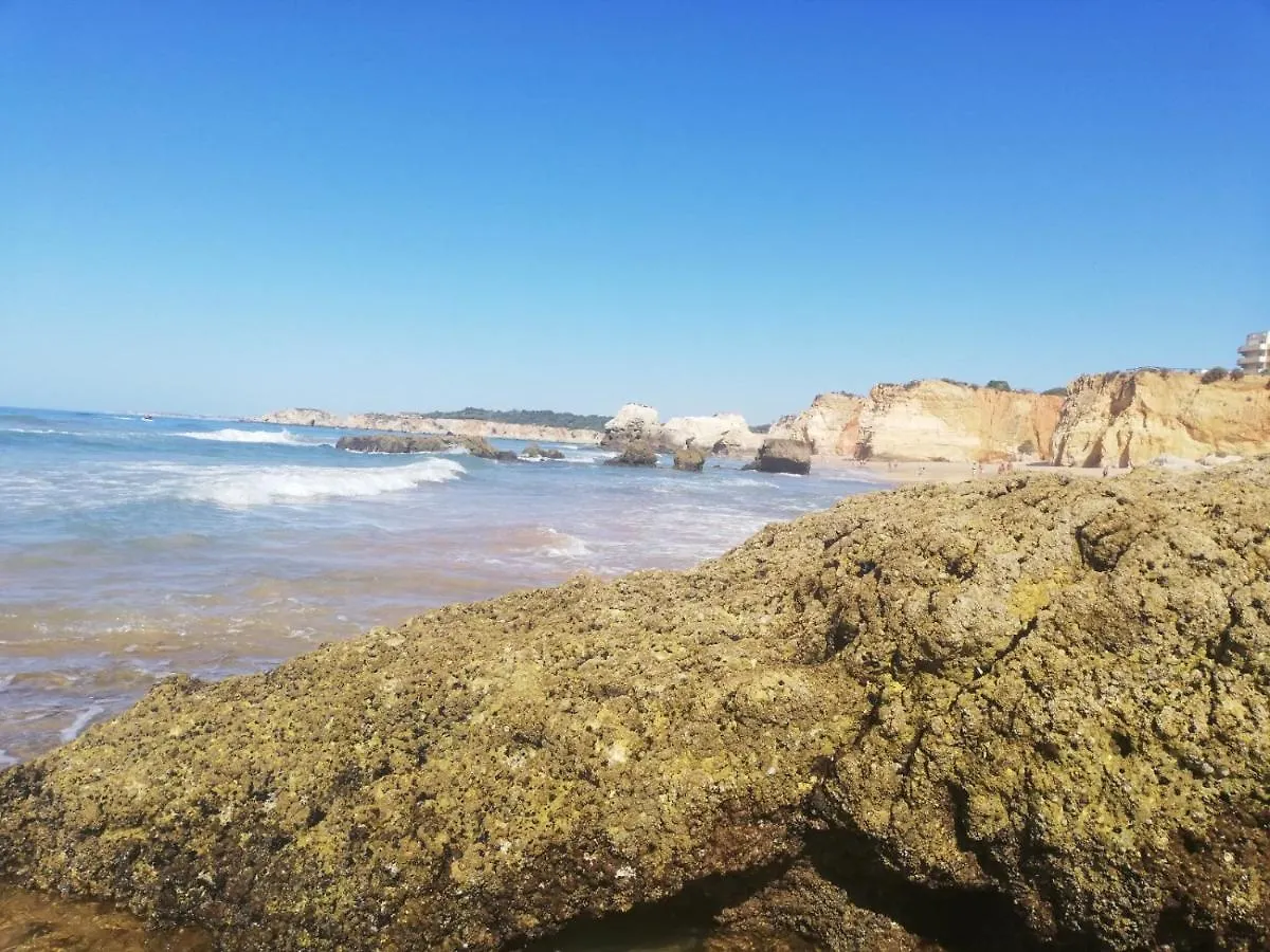 Rocha Praia Mar Beach Front Line Bay 0*, Portimao Portugal