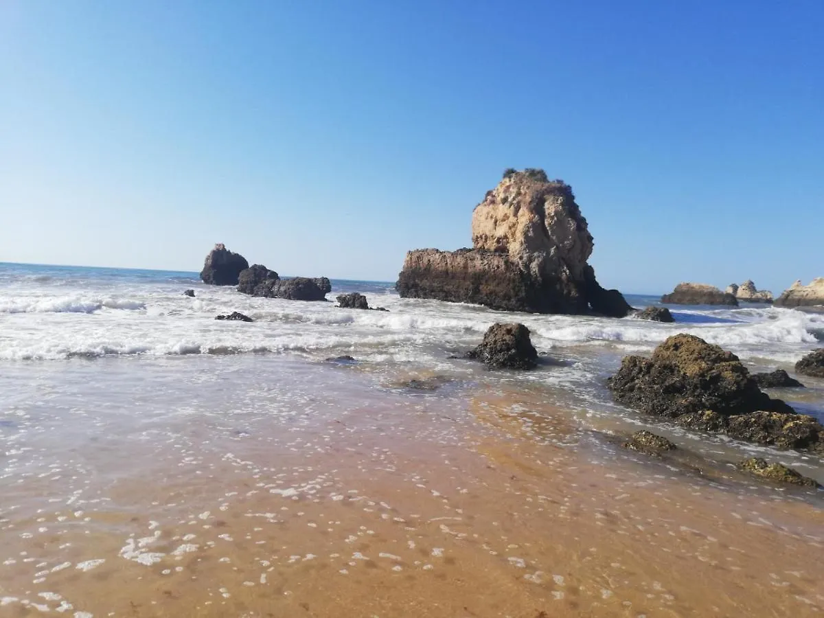 Rocha Praia Mar Beach Front Line Bay Portimao
